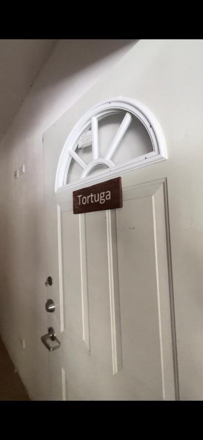 Habitacion Tortuga Casa Maria Bonita El Cuyo Exterior foto